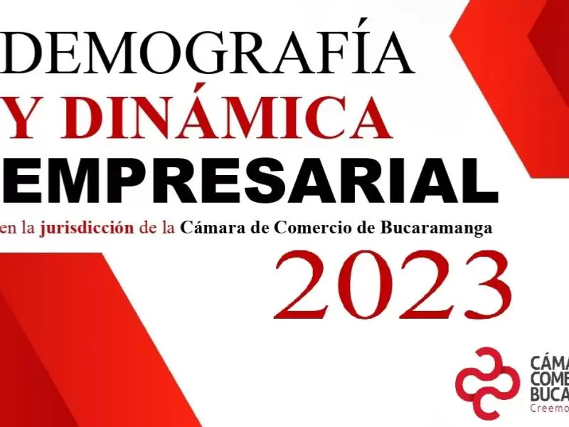 DEMOGRAFÍA DINÁMICA EMPRESARIAL